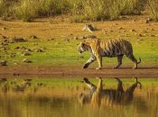 Bor Wildlife Sanctuary